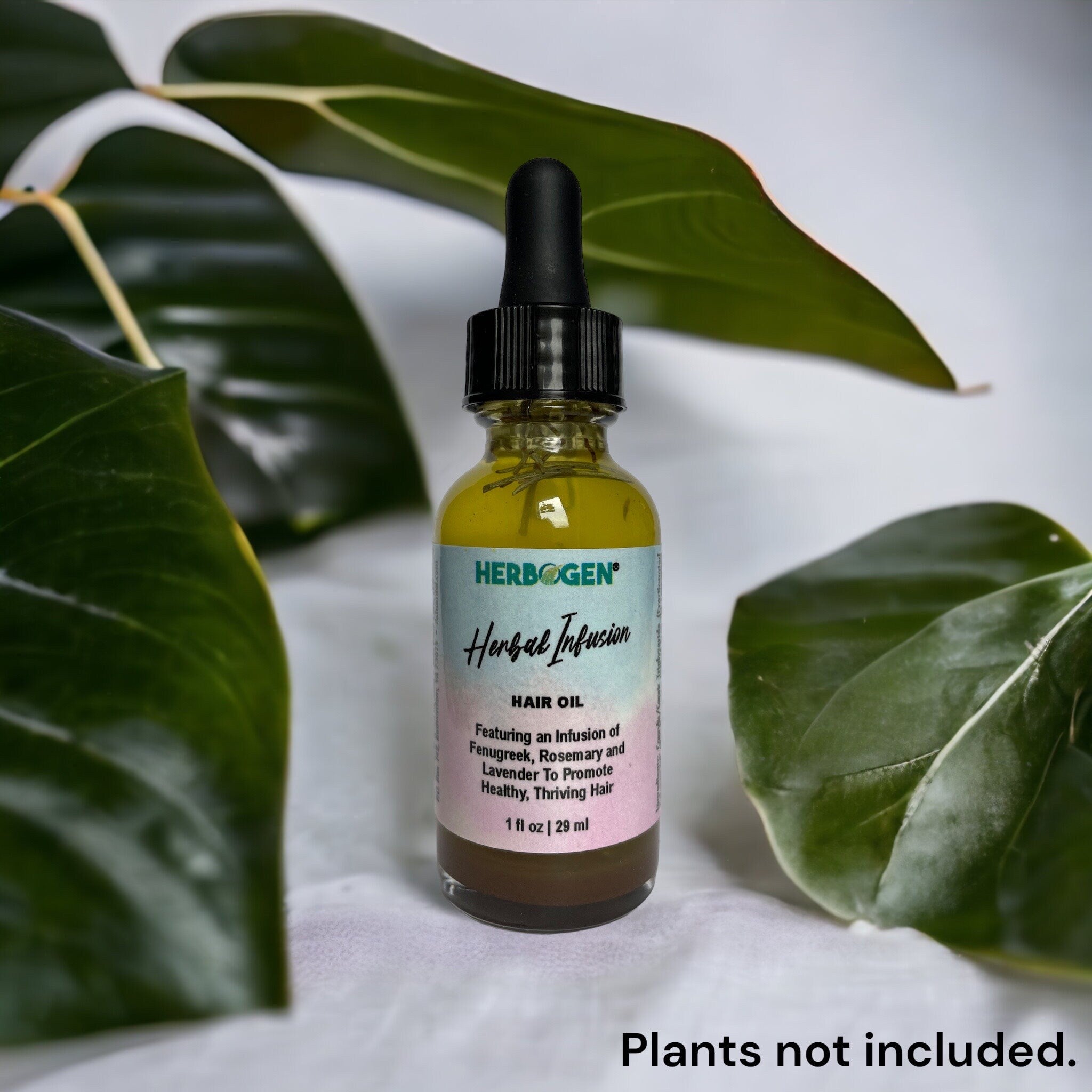 Herbal Infusion Hair Oil | Amla, Rosemary, Fenugreek & Thyme | Coconut and Olive Botanical Scalp Oil