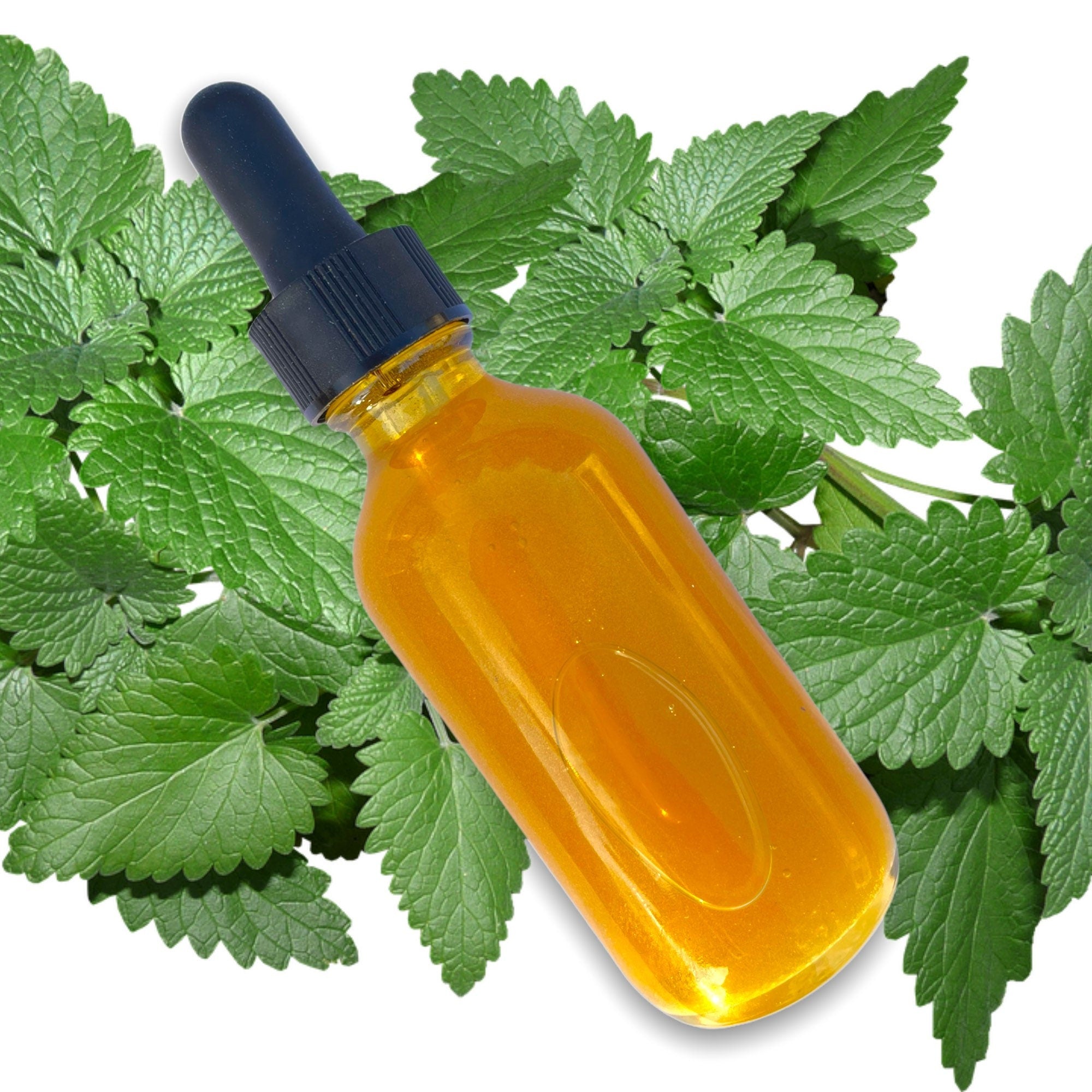 27 Ingredient Hair Oil, Hair Growth Serum, Castor Oil For Hair, Burdock root, Nettle, Amla oil, Sulfur hair oil, Nettle Hair oil