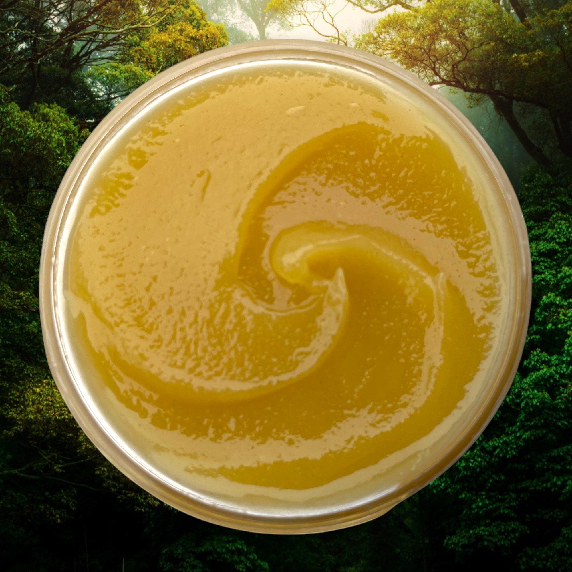 Herbal Hair Balm with Beeswax | Scalp & Hair Conditioner | Twisting Pomade | Botanical Hair Grease | Loc and Protective Style Balm