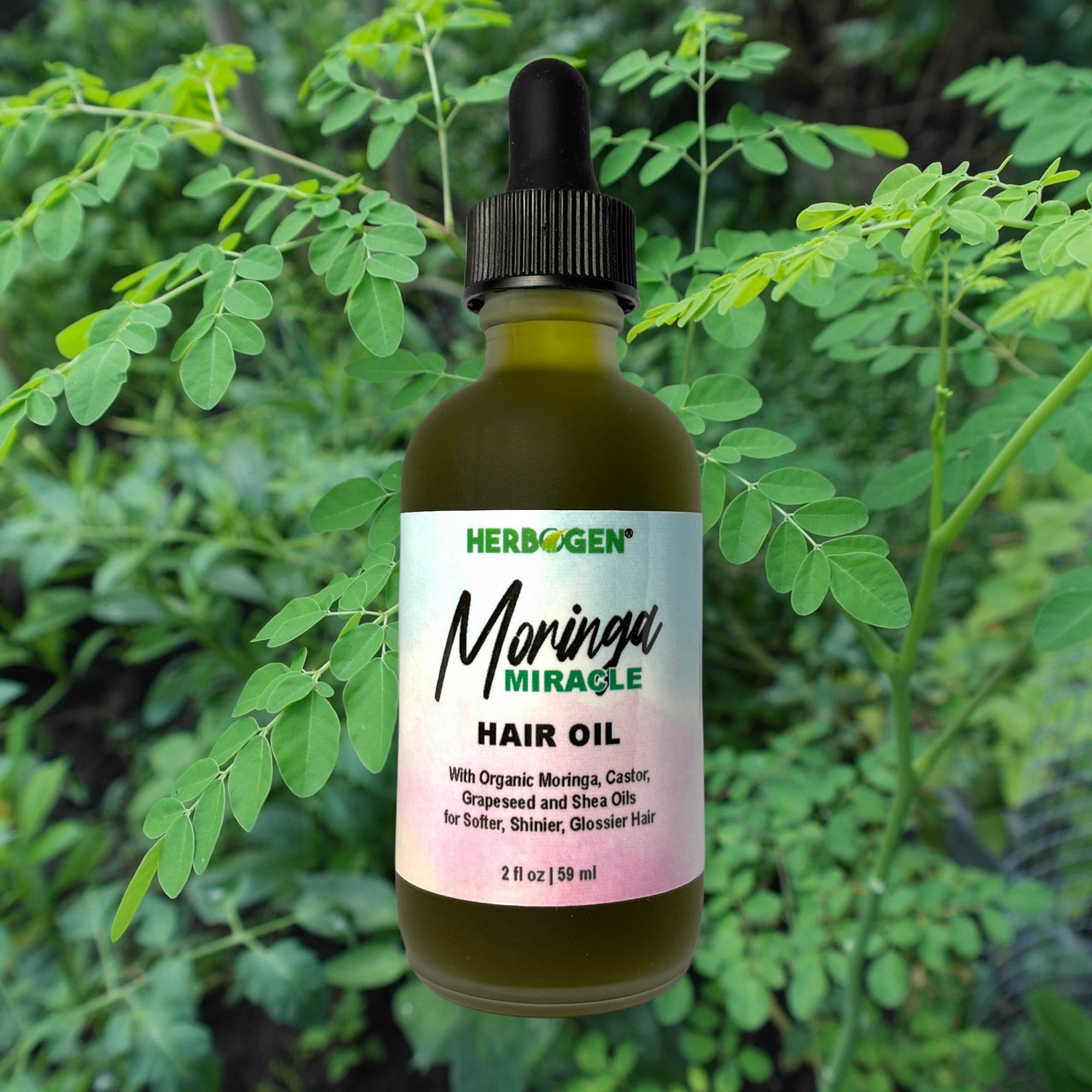 Moringa Miracle Hair Oil Promotes Hair Growth Powerful Growth Oil Moringa Growth Serum Asha 4295